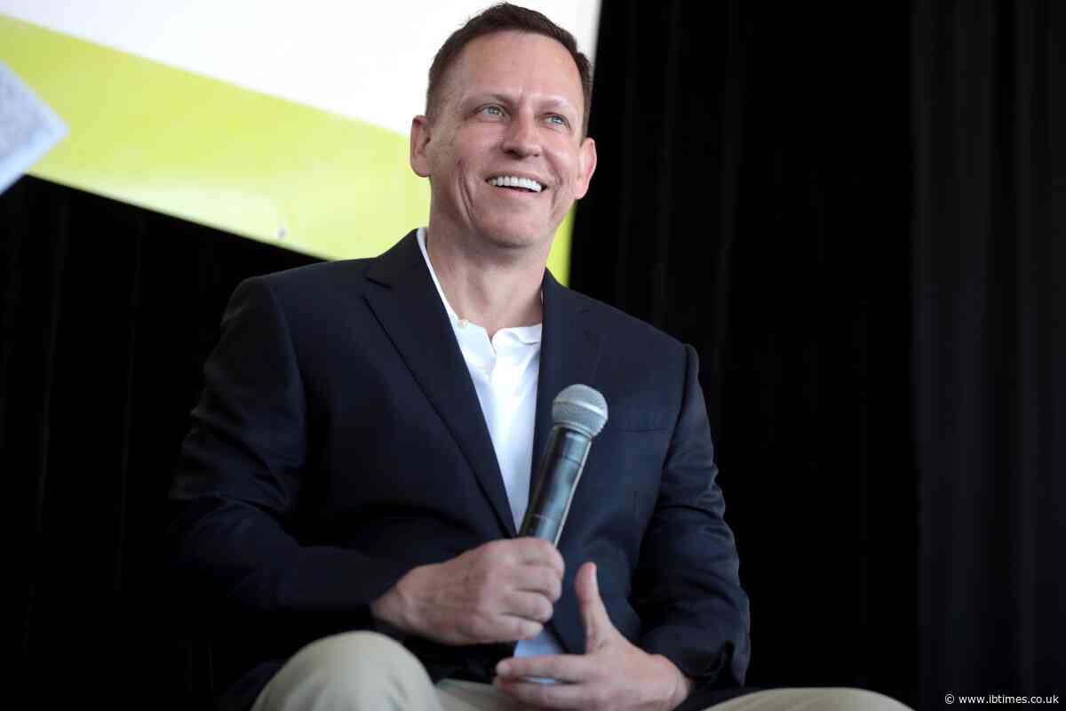 Billionaire Peter Thiel Mocked Online After Saying Evil Can Be 'Kind of Good'