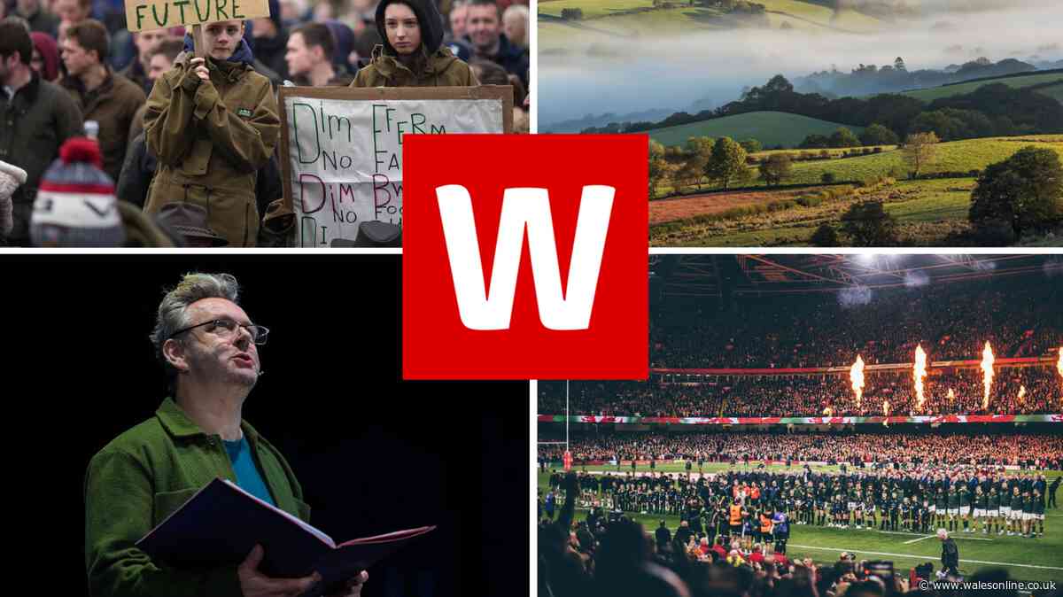 Add WalesOnline to your Google preferred sources to see more of your favourite Welsh news content
