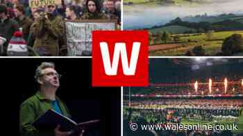 Add WalesOnline to your Google preferred sources to see more of your favourite Welsh news content