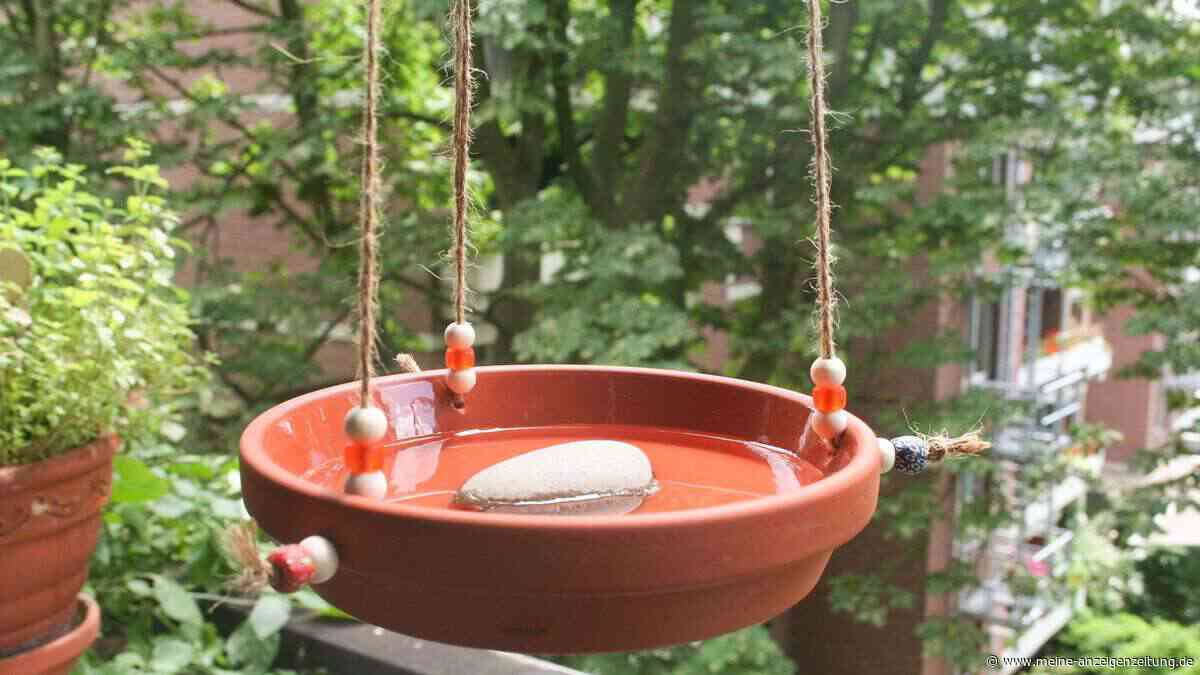DIY-Ideen: Wenn aus dem Suppenteller eine Vogeltränke wird