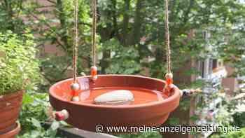 DIY-Ideen: Wenn aus dem Suppenteller eine Vogeltränke wird