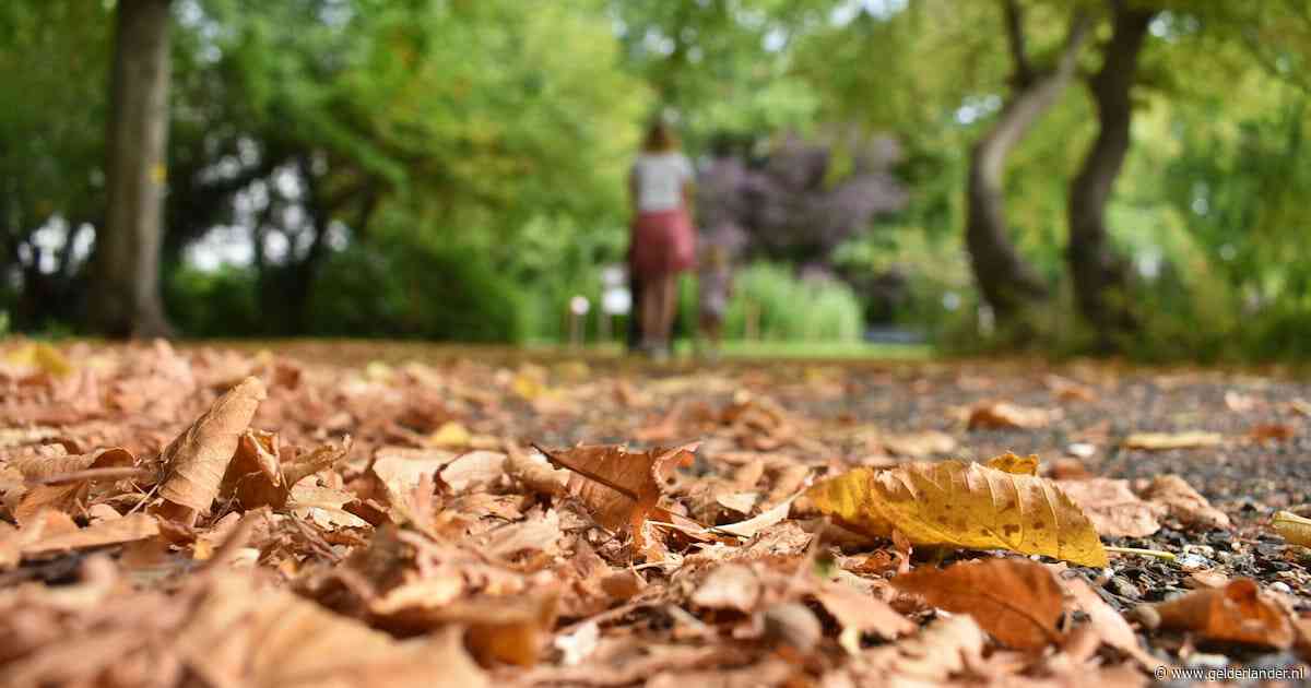 Zon of regen? Dit is de weersverwachting voor oktober in Arnhem
