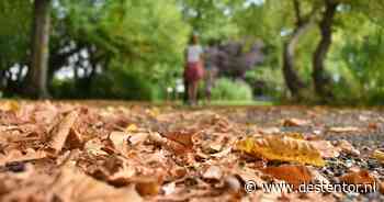 Zon of regen? Dit is de weersverwachting voor oktober in Zwolle