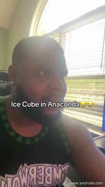 Ice Cube in Anaconda | Parody