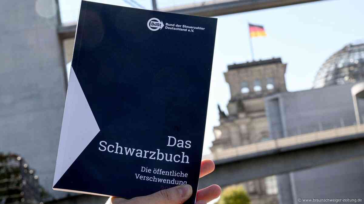Steuerzahlerbund: Regierungsterminal am Flughafen BER braucht „ein Stoppschild“