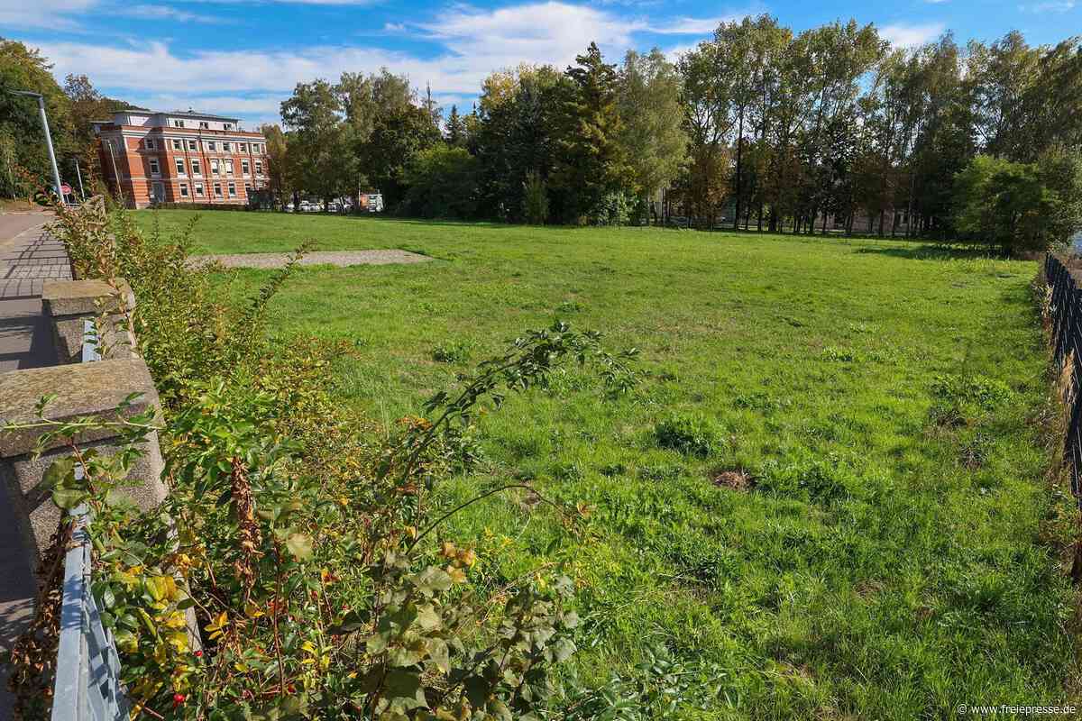 Geldsegen oder Grünanlage: Was wird aus ehemaligem Naplafa-Grundstück in Hohenstein-Ernstthal?