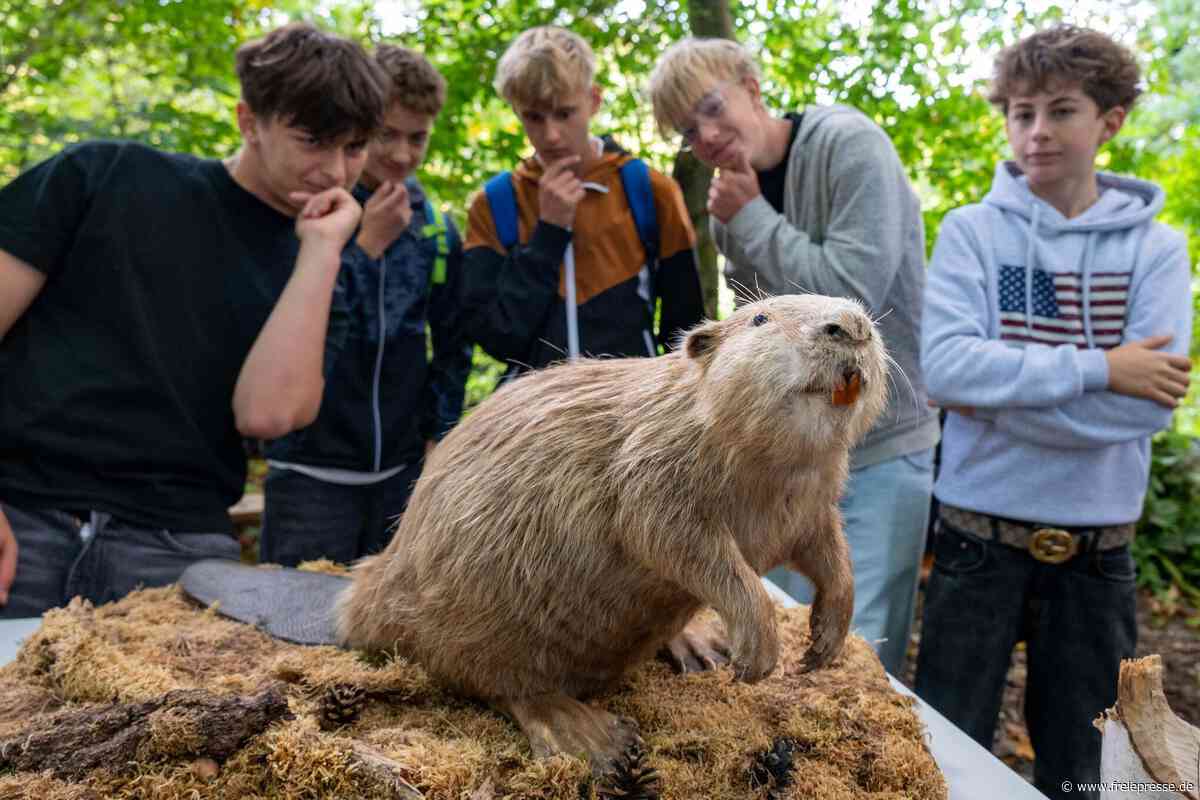 Naturschutz in Penig beginnt im Klassenzimmer – und geht an der Mulde weiter
