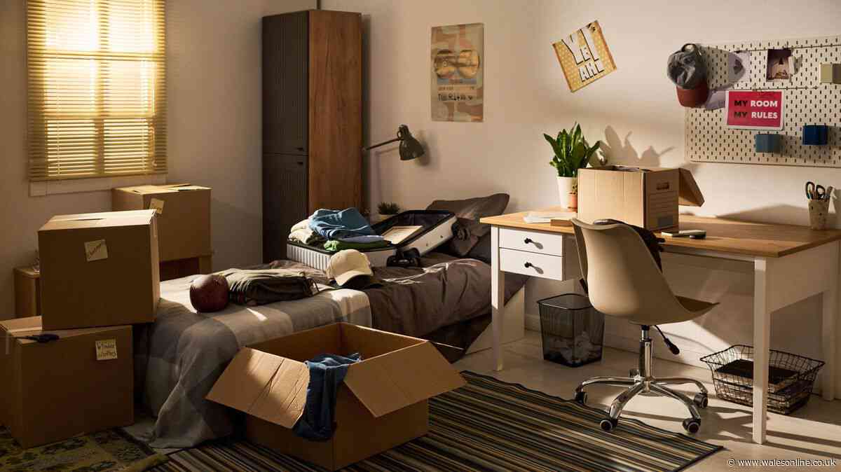 Welsh homeowners warned of £300 fine risk when tidying their houses this autumn
