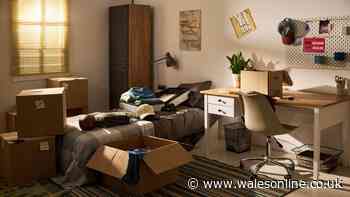 Welsh homeowners warned of £300 fine risk when tidying their houses this autumn