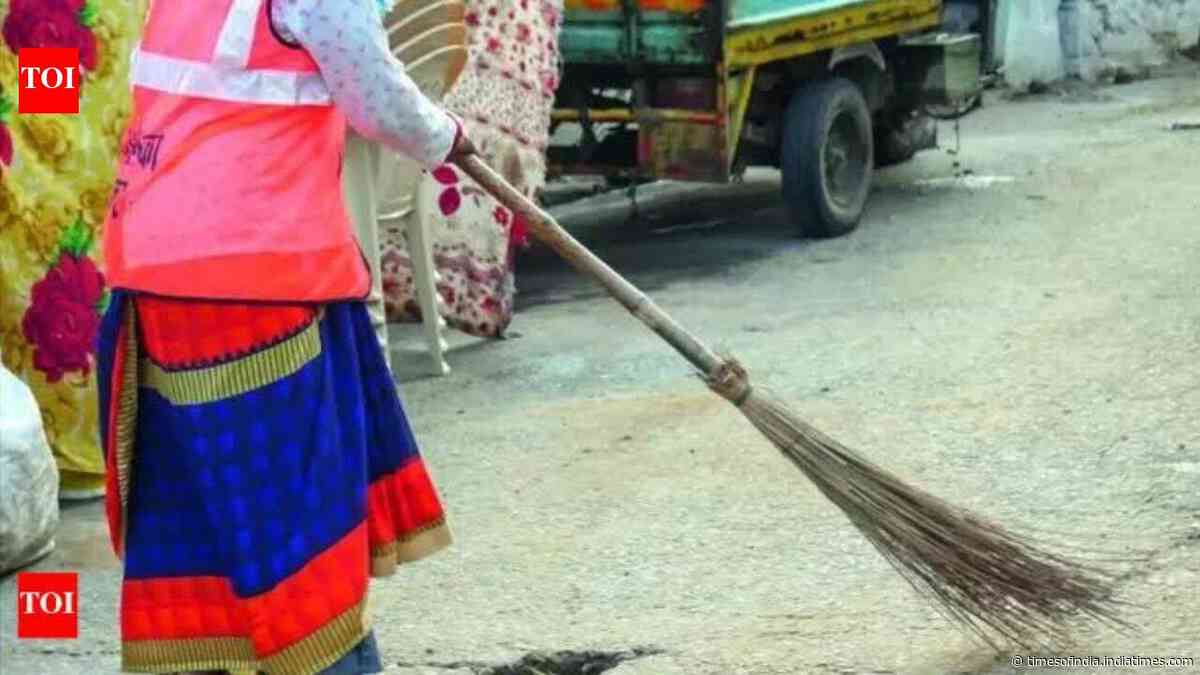 Delhi roads to get 70 new mechanised sweepers from November: MCD