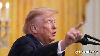 Trump not ruling out invoking Insurrection Act around midterms