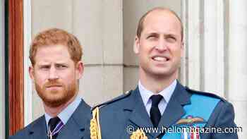 How Prince William and Prince Harry handle grief differently