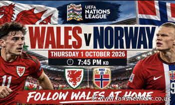 Wales v Norway : Bellamy’s spoken …