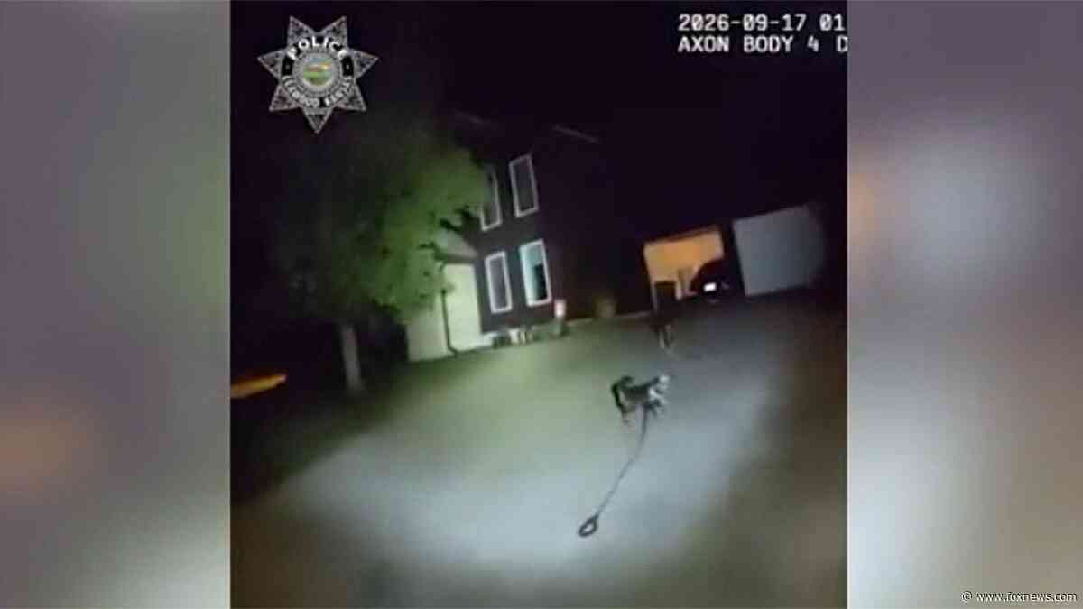 Loyal dog fetches police to help owner who fell at Kansas home
