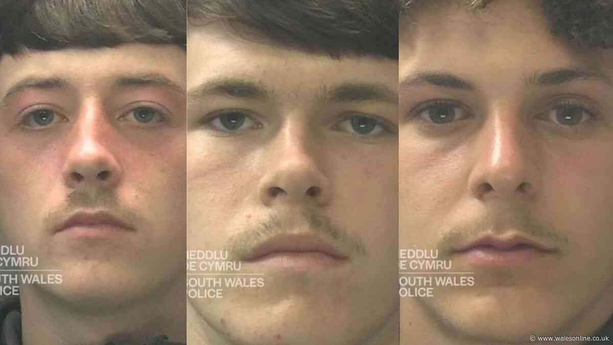 Cyclist pulled from bike and beaten up by gang in Cardiff
