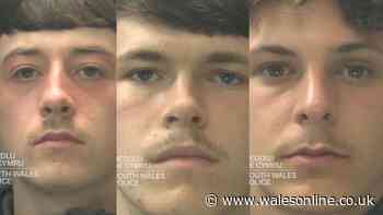 Cyclist pulled from bike and beaten up by gang in Cardiff