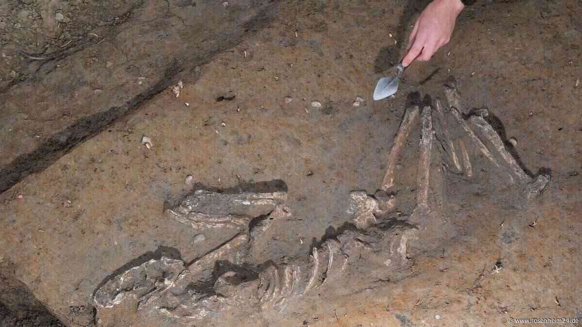 Sensationsfund in Leipzig – Über 7000 Jahre altes Skelett auf Baustelle entdeckt