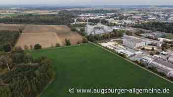 Trotz Kritik am Projekt: Auf dieses Feld kommt die neue Biogasanlage