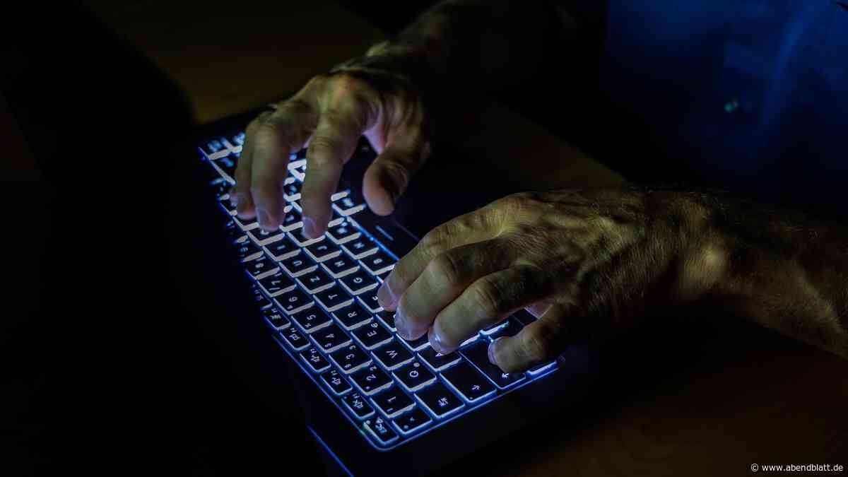 Hamburger LKA kapert Server von Cyber-Erpressern: Jugendlicher (16) festgenommen