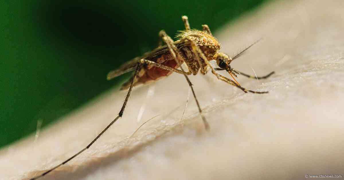 Mosquitoes in Roswell park test positive for West Nile virus again, treatments underway