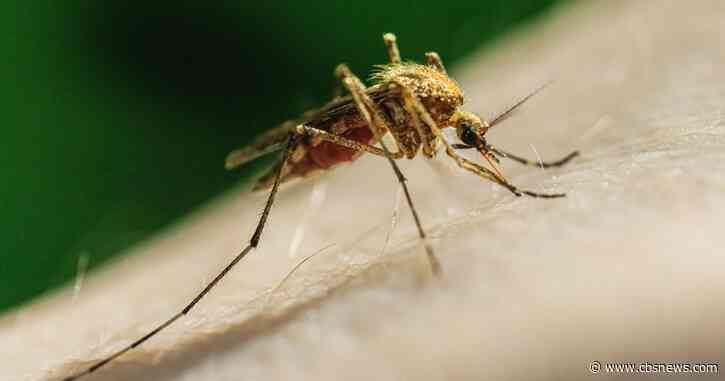 Mosquitoes in Roswell park test positive for West Nile virus again, treatments underway
