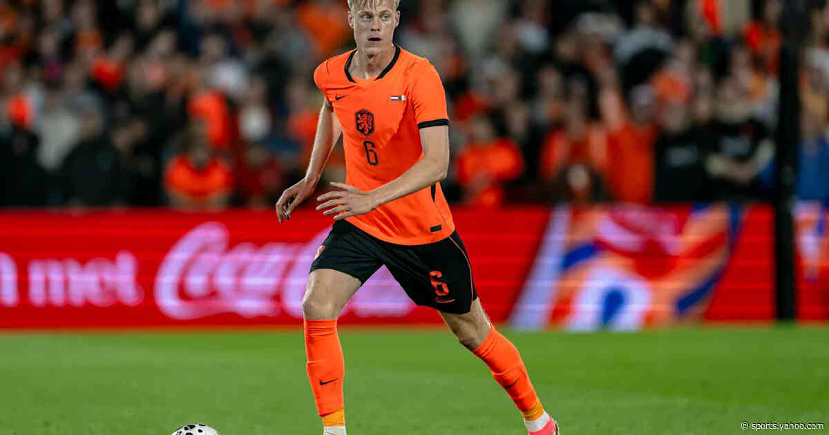 Tottenham Hotspur dealt another injury blow on international duty