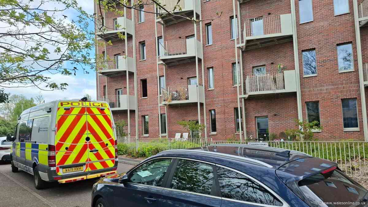 Husband, 93, admits to the manslaughter of his wife