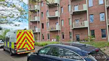 Husband, 93, admits to the manslaughter of his wife