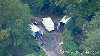 Dual UK-Iranian national arrested by counter terror police over RAF Fairford 'plot'