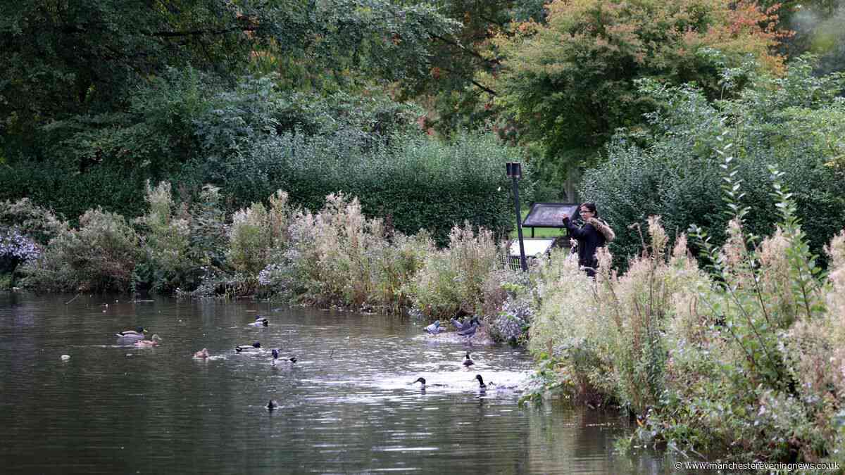 The Greater Manchester park that’s an ‘escape from the city’ ideal for an autumn walk