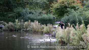 The Greater Manchester park that’s an ‘escape from the city’ ideal for an autumn walk