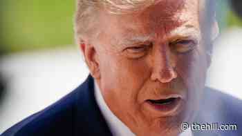 Trump says he rejected Secret Service plan to tear down Oval Office