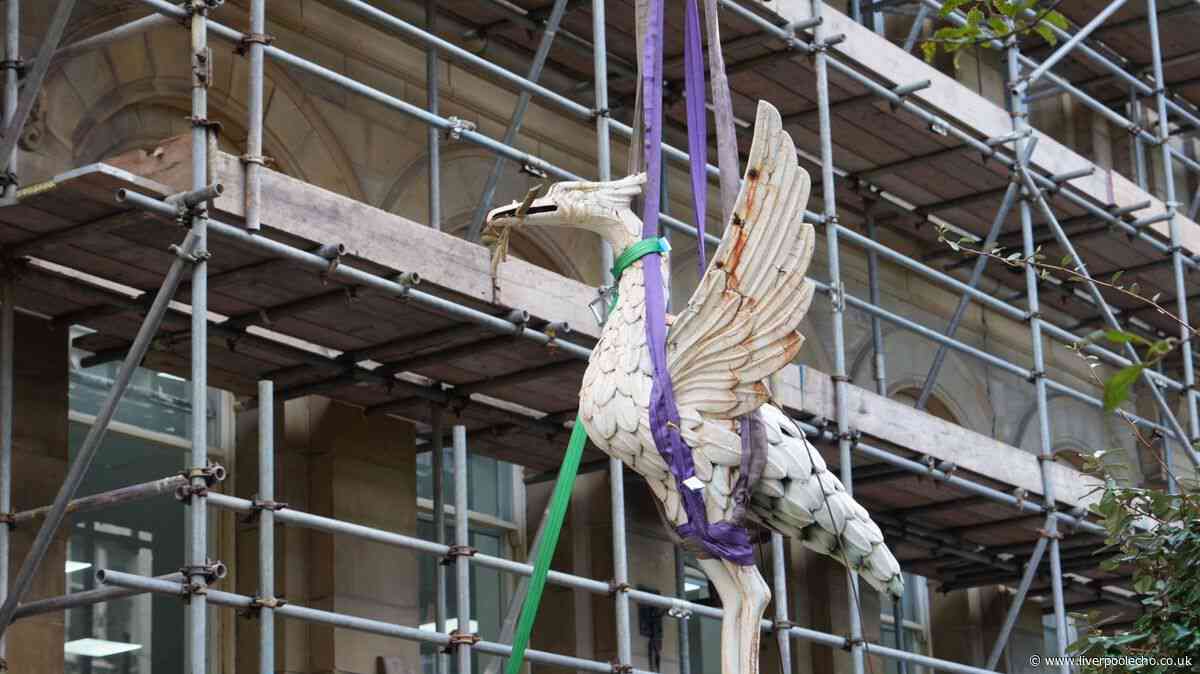 Liverpool’s third Liver Bird flies the nest from historic building