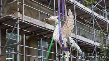 Liverpool’s third Liver Bird flies the nest from historic building