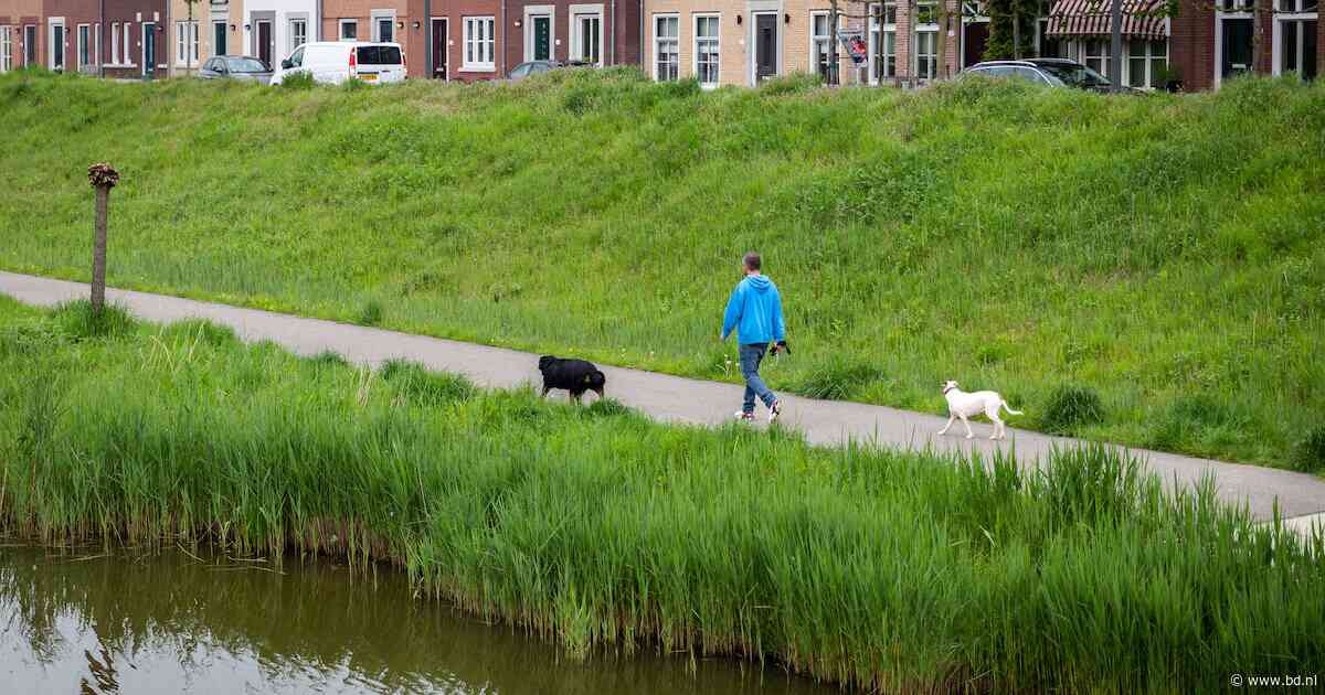 Schaf hondenbelasting af: alsof ze daar nieuwe uitlaatveldjes van aanleggen