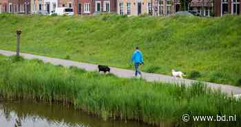 Schaf hondenbelasting af: alsof ze daar nieuwe uitlaatveldjes van aanleggen