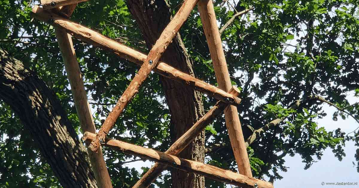 Een wirwar van houten balken in het stadspark van Deventer: wat stelt het voor?