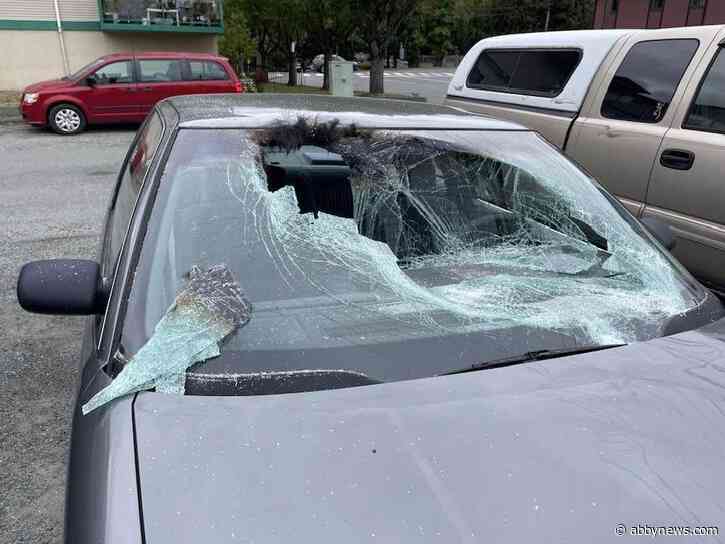 Elk damages car during rut at Lake Cowichan