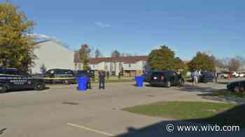 Woman injured in Amherst police shooting pleads guilty to menacing