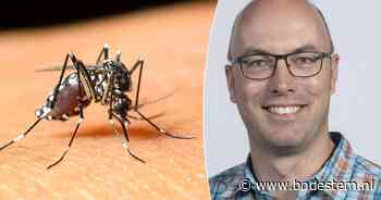 Waarom het westnijlvirus een blijvertje is, maar die plotselinge piek aan patiënten nog een raadsel blijft