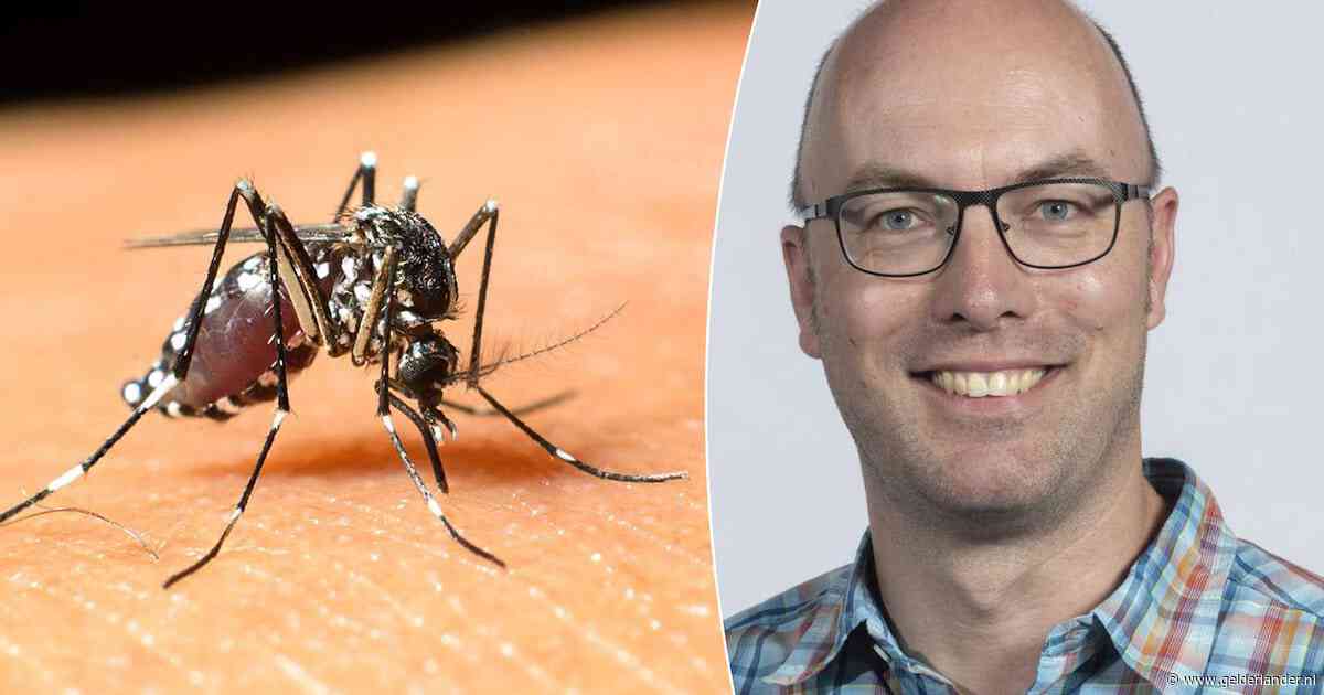 Waarom het westnijlvirus een blijvertje is, maar die plotselinge piek aan patiënten nog een raadsel blijft