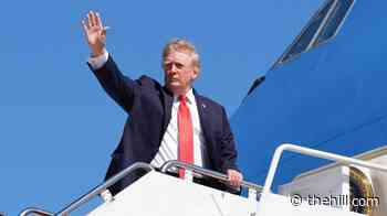 Watch live: Trump kicks off red-state campaign swing at Texas truck plant