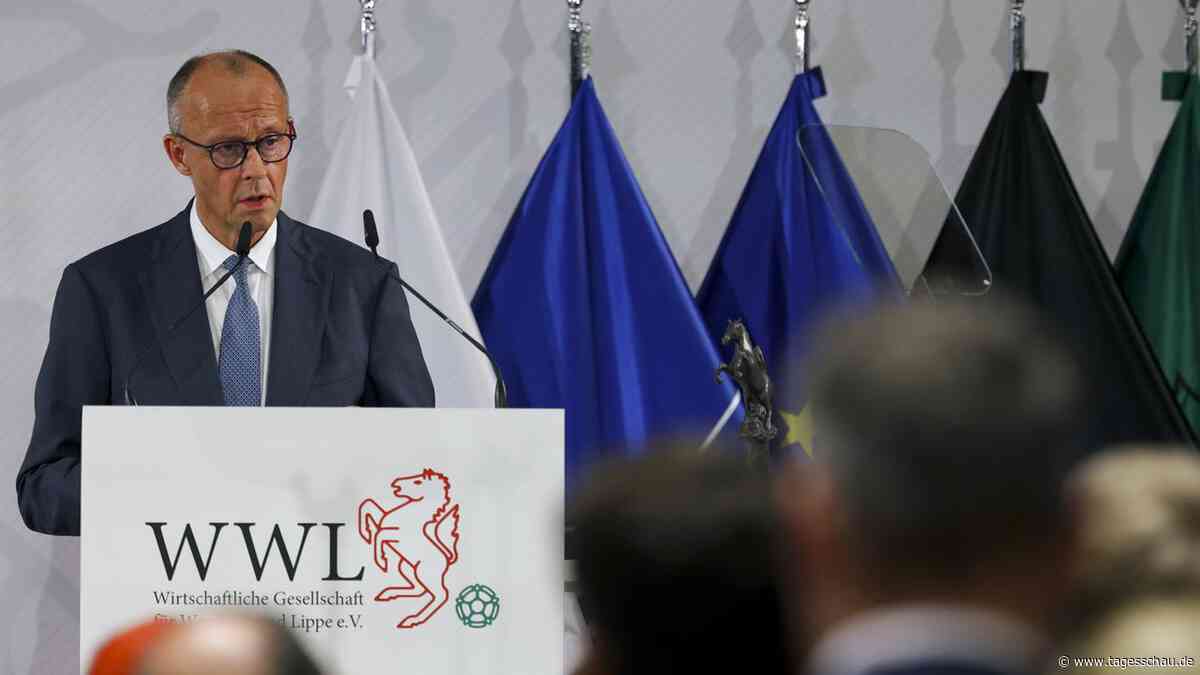 Merz' verleiht Friedenspreis an die NATO - "Moskau Einhalt gebieten"