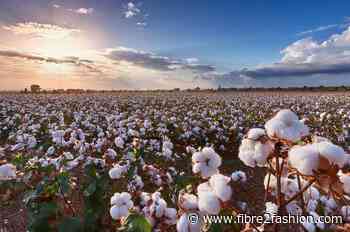 US cotton gains China access: What happens to Brazil’s share?