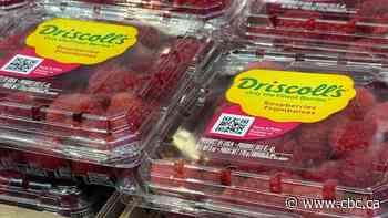Fruit giant Driscoll's faces class-action lawsuit in Quebec
