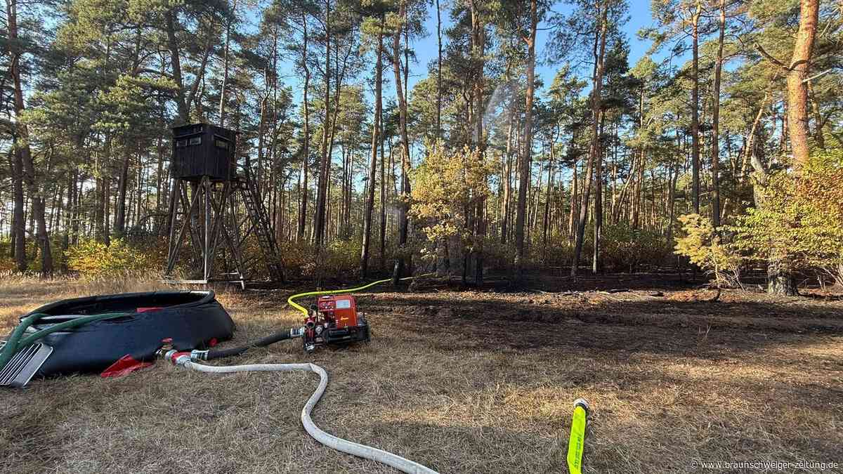 Lessien: Waldbrand auf 4000 Quadratmetern fordert Feuerwehr tagelang