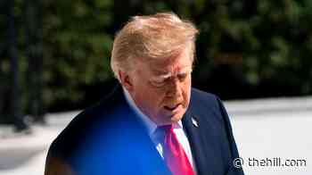 Trump says ‘it’s possible’ Iran war could cost him the midterms