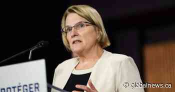 Ford government spent $2 million on McKinsey contract amid push for healthcare savings
