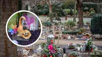 Trost finden nach dem Tod des geliebten Tieres: Hier befindet sich der älteste Tierfriedhof in NRW
