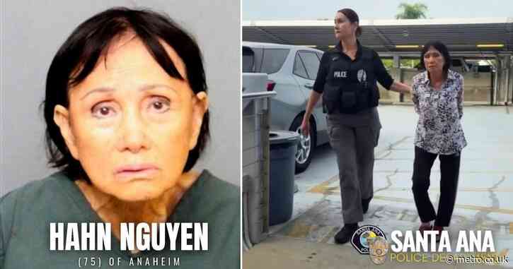 Woman, 75, who ‘intentionally’ ran over puppy arrested